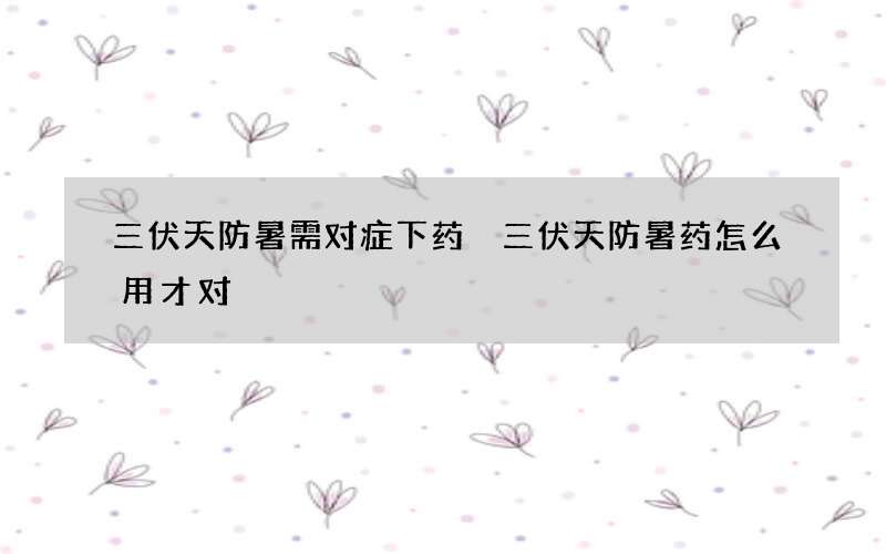 三伏天防暑需对症下药 三伏天防暑药怎么用才对